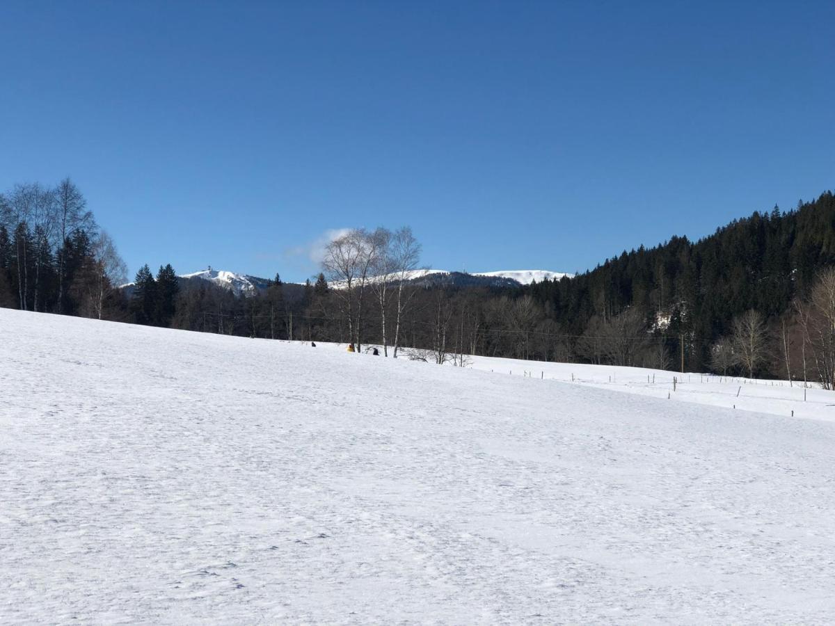 Ferienhaus Lickert Ferienwohnung Süd Feldberg Hinterzarten Exterior foto