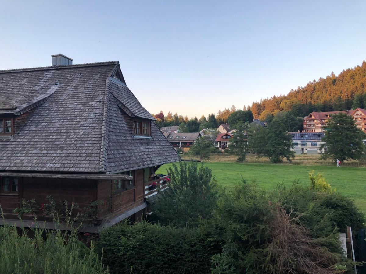 Ferienhaus Lickert Ferienwohnung Süd Feldberg Hinterzarten Exterior foto