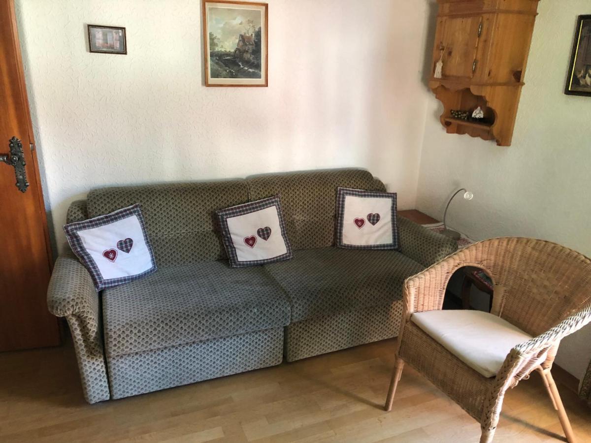 Ferienhaus Lickert Ferienwohnung Süd Feldberg Hinterzarten Exterior foto