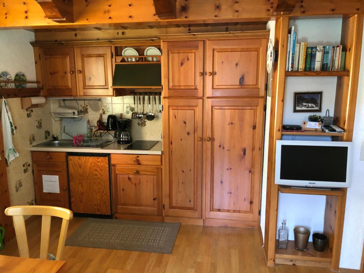 Ferienhaus Lickert Ferienwohnung Süd Feldberg Hinterzarten Exterior foto
